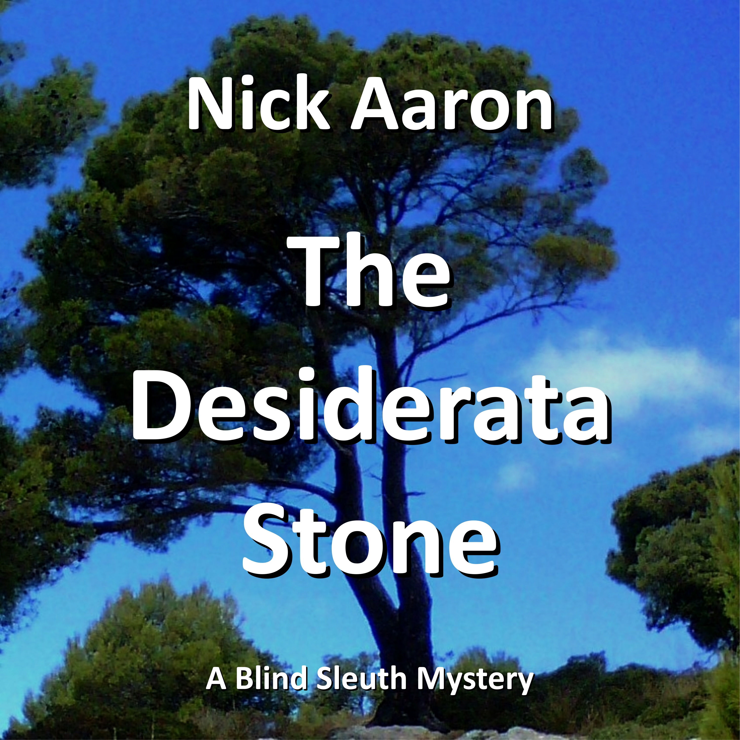 Audiobook cover Desiderata's lost Stone